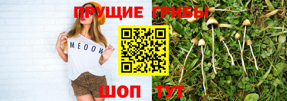 Галлюциногенные грибы ЛСД  Вход с VPN  Галлюциногенные грибы Psilocybe  Владивосток 