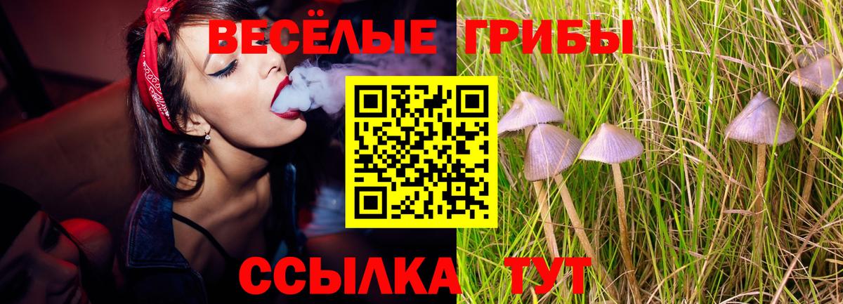 Галлюциногенные грибы мухоморы Владивосток