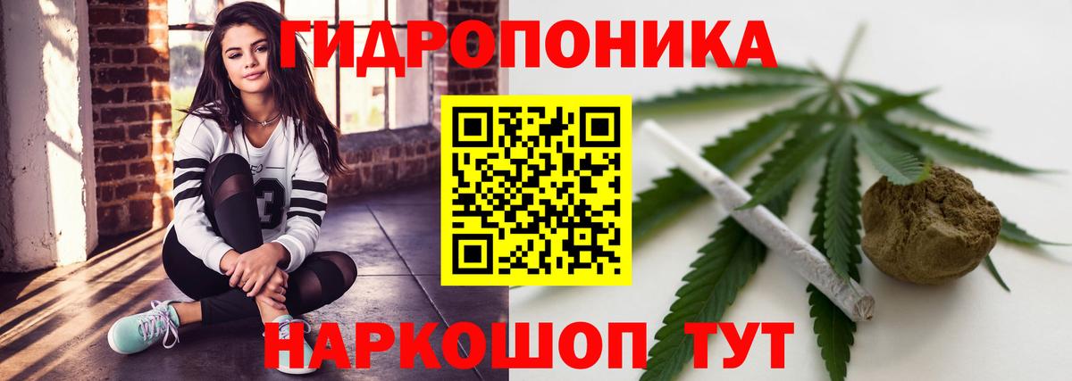 Бошки марихуана семена Владивосток